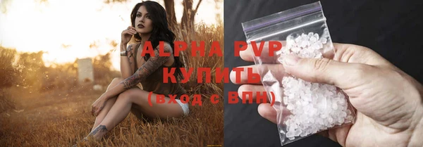 шишки Богданович