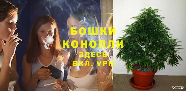 бошки Богородск