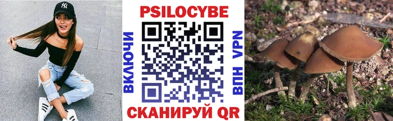 Псилоцибиновые грибы ЛСД  mega сайт  Краснокаменск 
